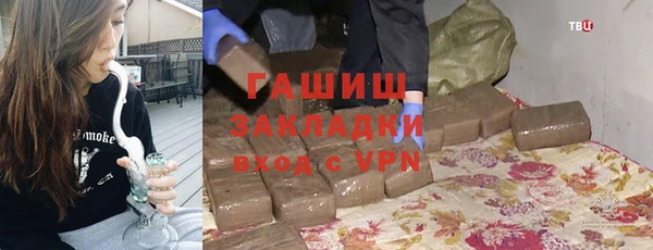сатива Няндома