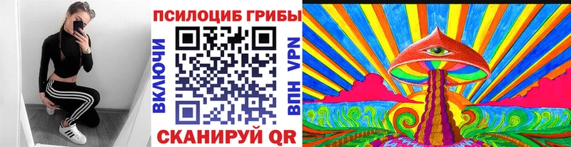 где купить наркоту  Строитель  omg зеркало  Псилоцибиновые грибы Psilocybine cubensis 